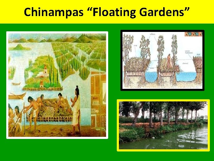 Chinampas “Floating Gardens” 