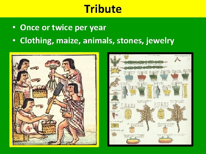 Tribute • Once or twice per year • Clothing, maize, animals, stones, jewelry 