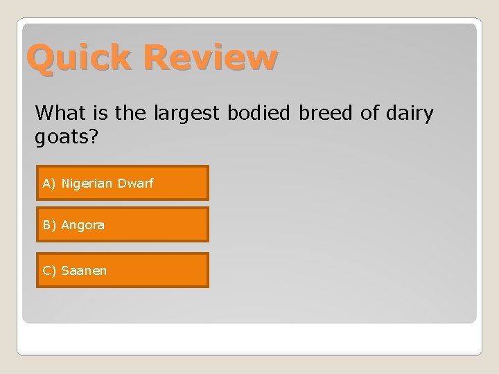 Quick Review What is the largest bodied breed of dairy goats? A) Nigerian Dwarf Quick Review What is the largest bodied breed of dairy goats? A) Nigerian Dwarf
