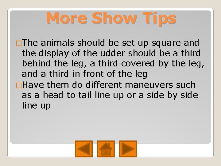 More Show Tips �The animals should be set up square and the display of More Show Tips �The animals should be set up square and the display of