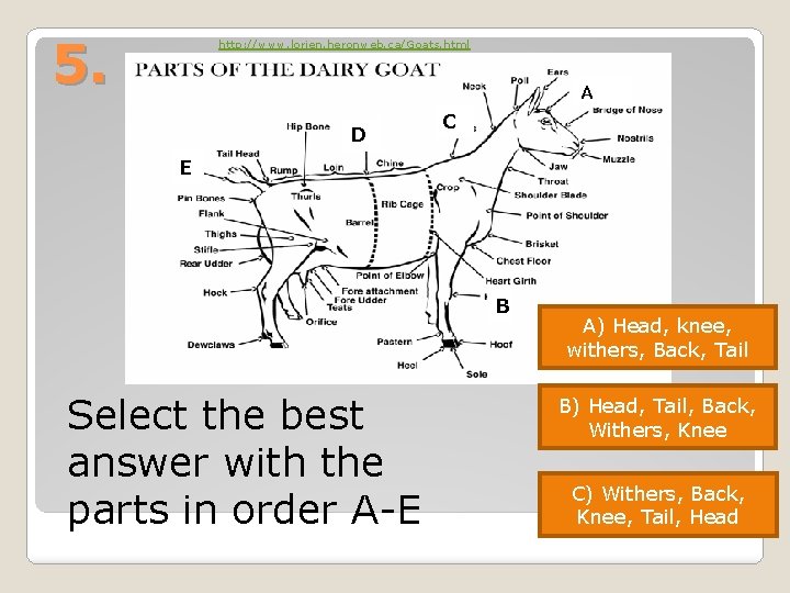 5. http: //www. lorien. heronweb. ca/Goats. html A D C E B Select the 5. http: //www. lorien. heronweb. ca/Goats. html A D C E B Select the