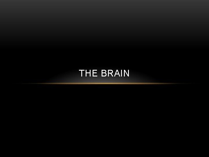 THE BRAIN 