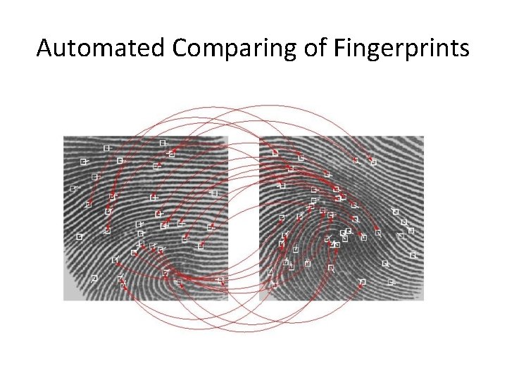 Automated Comparing of Fingerprints 