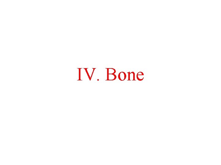 IV. Bone 
