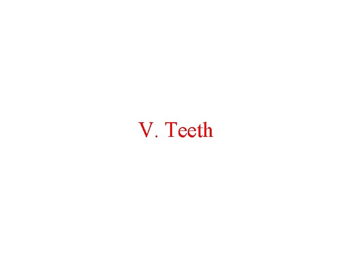 V. Teeth 