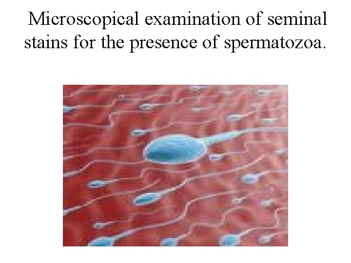 Microscopical examination of seminal stains for the presence of spermatozoa. 