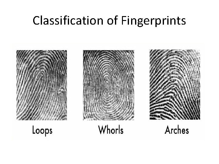 Classification of Fingerprints 