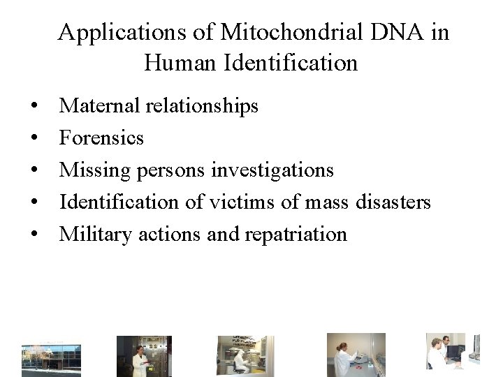 Applications of Mitochondrial DNA in Human Identification • • • Maternal relationships Forensics Missing