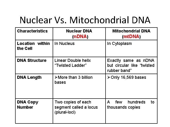Nuclear Vs. Mitochondrial DNA Characteristics Nuclear DNA (n. DNA) Mitochondrial DNA (mt. DNA) Location