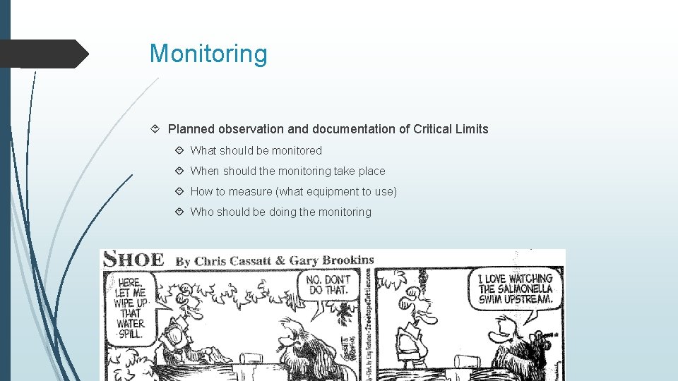 Monitoring Planned observation and documentation of Critical Limits What should be monitored When should