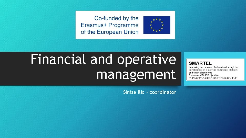 Financial and operative management Sinisa Ilic - coordinator 