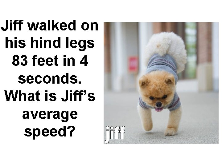 Jiff walked on his hind legs 83 feet in 4 seconds. What is Jiff’s