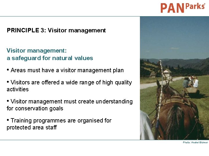 PRINCIPLE 3: Visitor management: a safeguard for natural values • Areas must have a