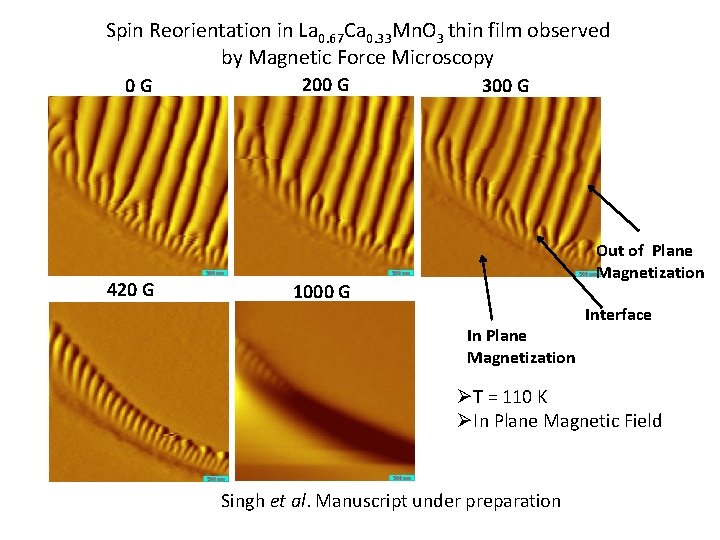 Spin Reorientation in La 0. 67 Ca 0. 33 Mn. O 3 thin film