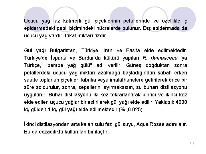 Uçucu yağ, az katmerli gül çiçeklerinin petallerinde ve özellikle iç epidermadaki papil biçimindeki hücrelerde