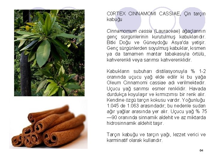 C 0 RTEX CINNAMOMI CASSIAE, Çin tarçın kabuğu Cinnamomum cassia (Lauraceae) ağaçlarının genç sürgünlerinin