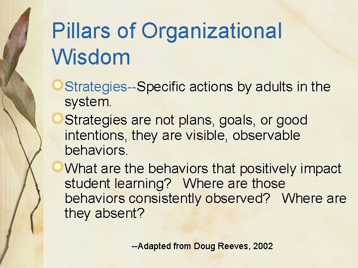 Pillars of Organizational Wisdom Strategies--Specific actions by adults in the system. Strategies are not