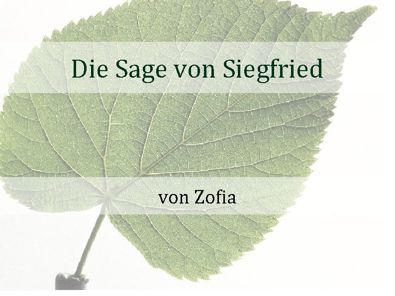 Die Sage von Siegfried von Zofia 