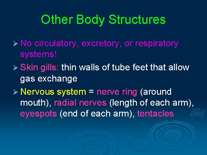 Other Body Structures Ø No circulatory, excretory, or respiratory systems! Ø Skin gills: thin Other Body Structures Ø No circulatory, excretory, or respiratory systems! Ø Skin gills: thin