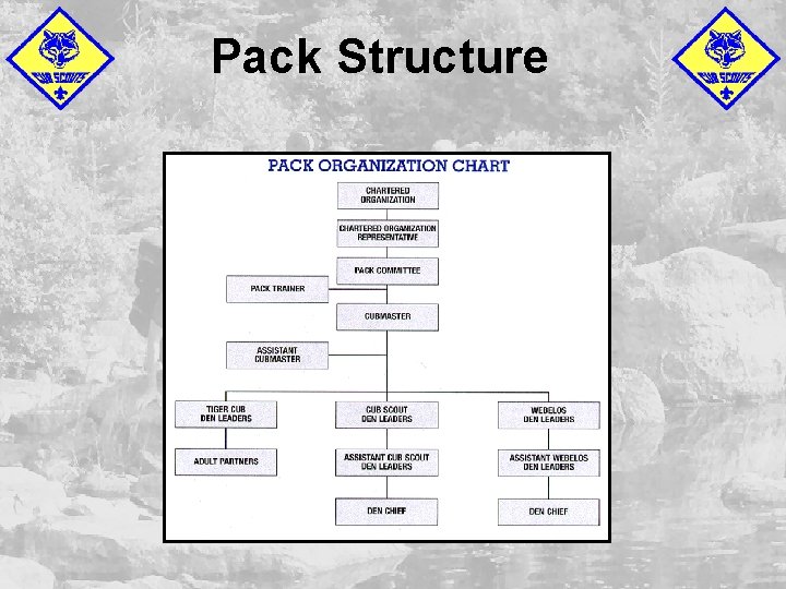 Pack Structure 