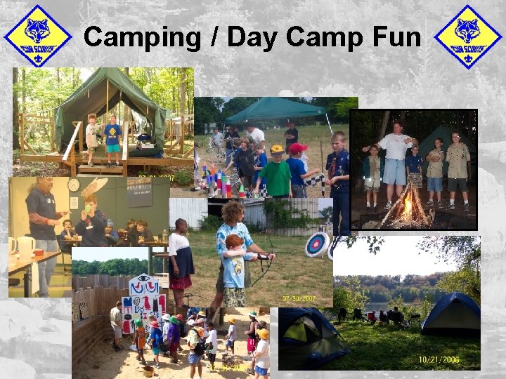 Camping / Day Camp Fun 