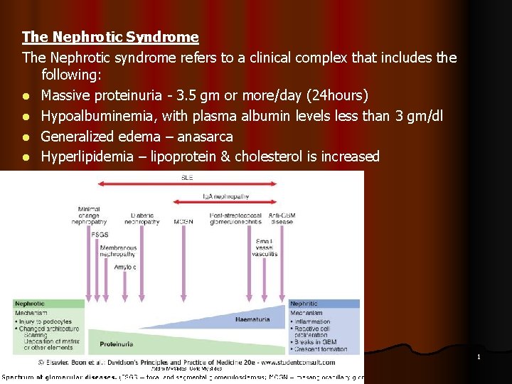 The Nephrotic Syndrome The Nephrotic syndrome refers to a clinical complex that includes the