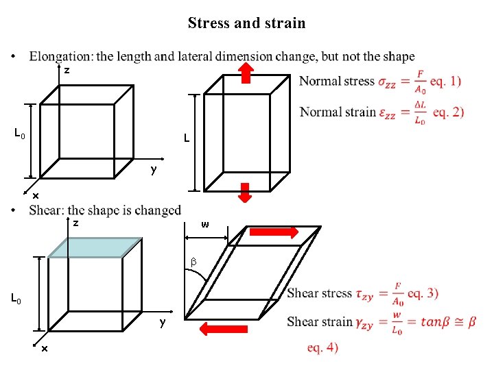 Stress and strain • z L 0 L y x z w L 0