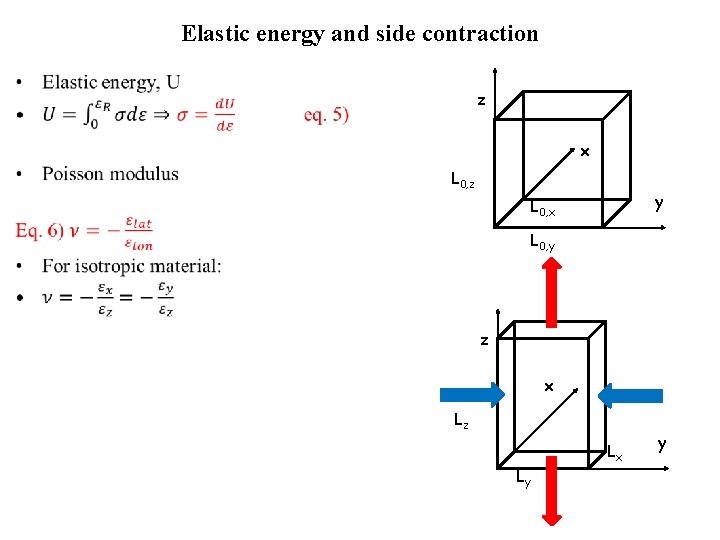 Elastic energy and side contraction • z x L 0, z y L 0,