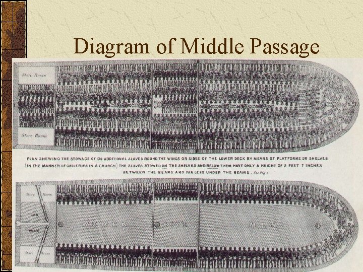 Diagram of Middle Passage 