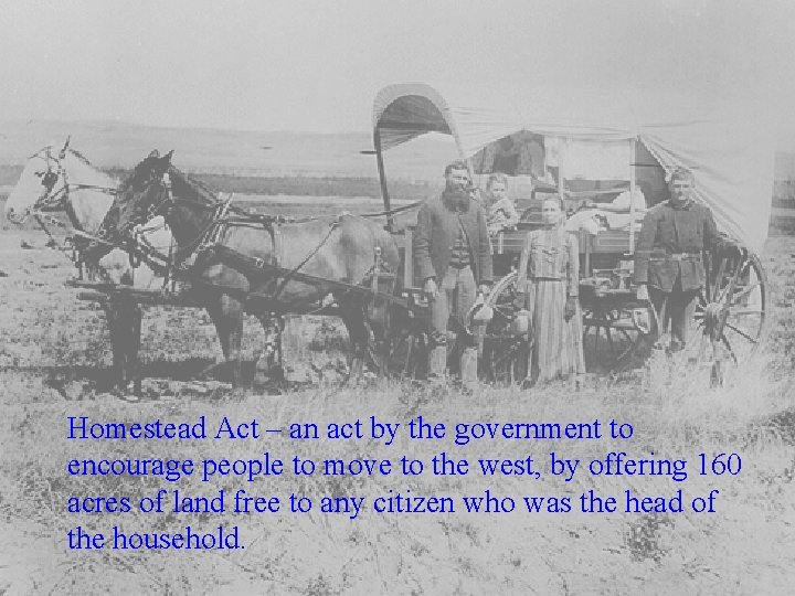 Homestead Act – an act by the government to encourage people to move to