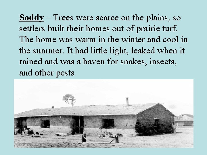 Soddy – Trees were scarce on the plains, so settlers built their homes out