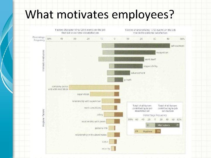 What motivates employees? 