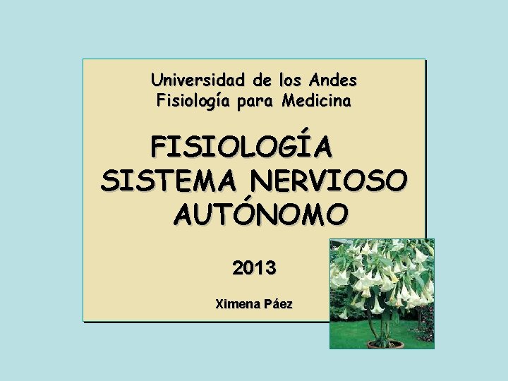 Universidad de los Andes Fisiología para Medicina FISIOLOGÍA SISTEMA NERVIOSO AUTÓNOMO 2013 Ximena Páez