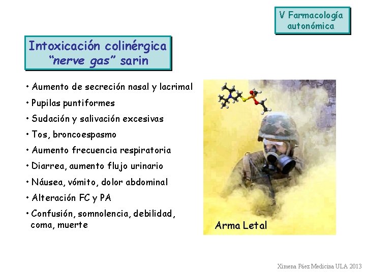 V Farmacología autonómica Intoxicación colinérgica “nerve gas” sarin • Aumento de secreción nasal y