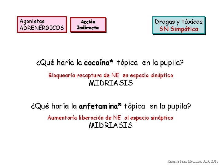 Agonistas ADRENÉRGICOS Acción Indirecta Drogas y tóxicos SN Simpático ¿Qué haría la cocaína* tópica