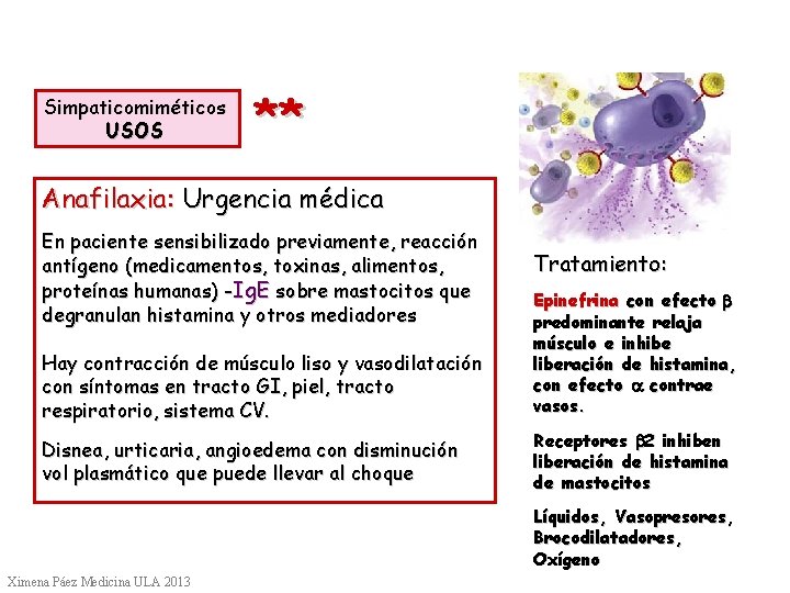 Simpaticomiméticos USOS ** Anafilaxia: Urgencia médica En paciente sensibilizado previamente, reacción antígeno (medicamentos, toxinas,