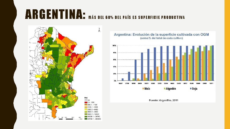 ARGENTINA: MÁS DEL 60% DEL PAÍS ES SUPERFICIE PRODUCTIVA 