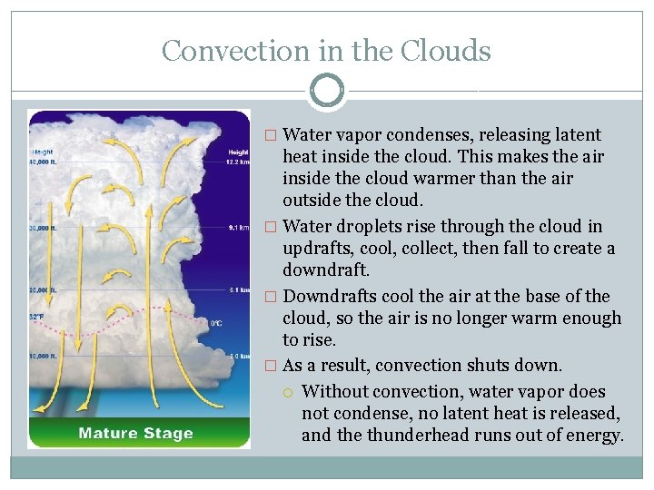 Convection in the Clouds � Water vapor condenses, releasing latent heat inside the cloud.