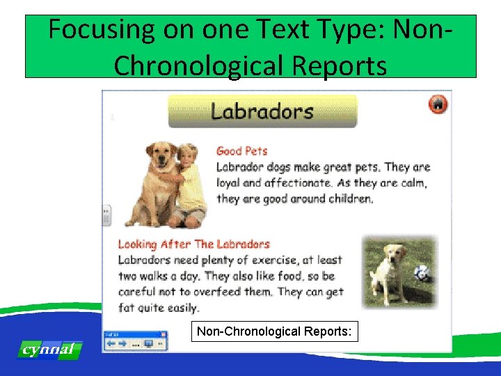 Focusing on one Text Type: Non. Chronological Reports Non-Chronological Reports: 