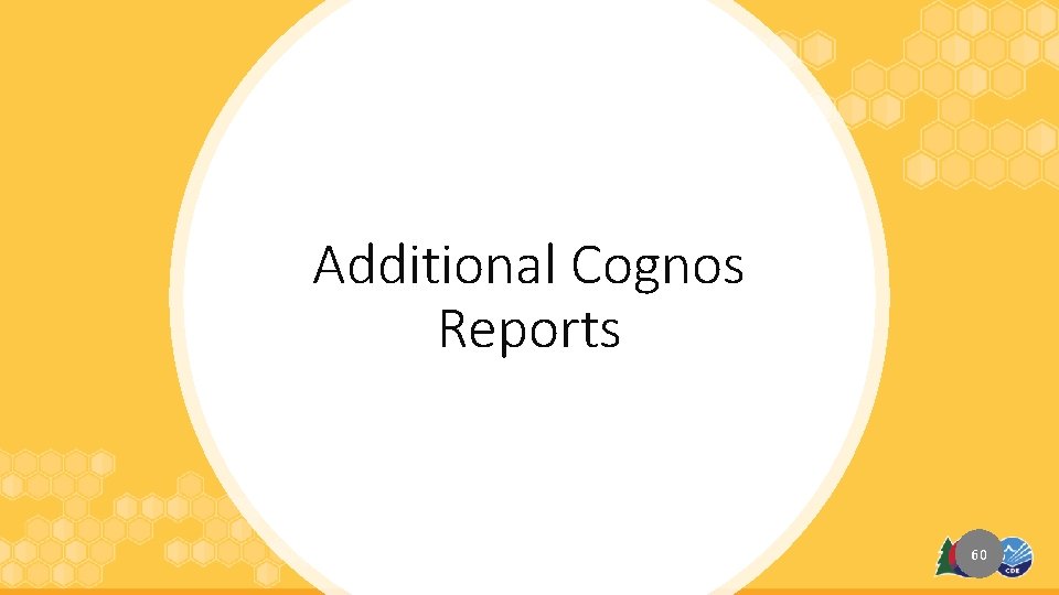 Additional Cognos Reports 60 