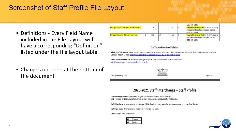 Screenshot of Staff Profile File Layout • Definitions - Every Field Name included in