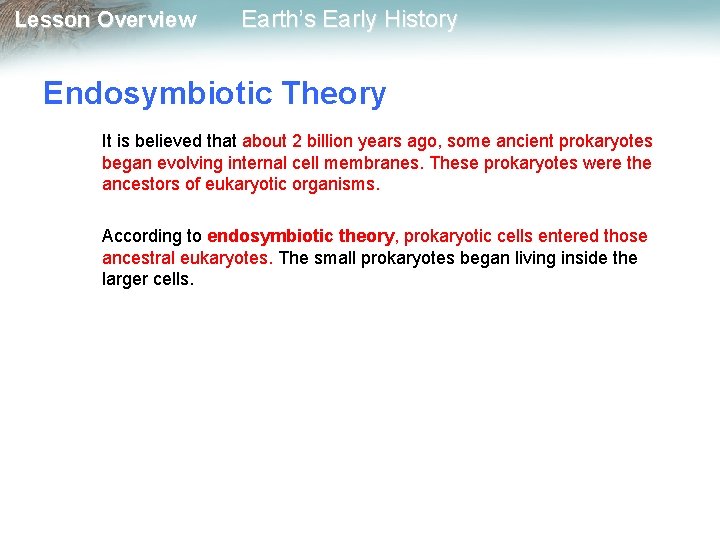 Lesson Overview Earth’s Early History Endosymbiotic Theory It is believed that about 2 billion Lesson Overview Earth’s Early History Endosymbiotic Theory It is believed that about 2 billion