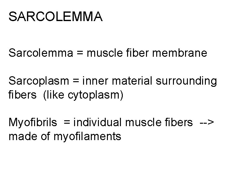 SARCOLEMMA Sarcolemma = muscle fiber membrane Sarcoplasm = inner material surrounding fibers (like cytoplasm)