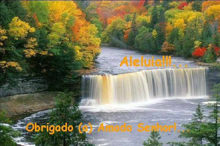 Aleluia!!!. . . Obrigado (a) Amado Senhor!. . . Aleluia!!!. . . Obrigado (a) Amado Senhor!. . .
