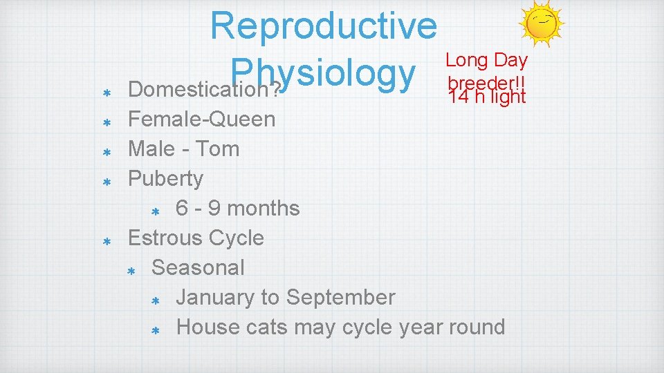 Reproductive Long Day Physiology breeder!! Domestication? 14 h light Female-Queen Male - Tom Puberty