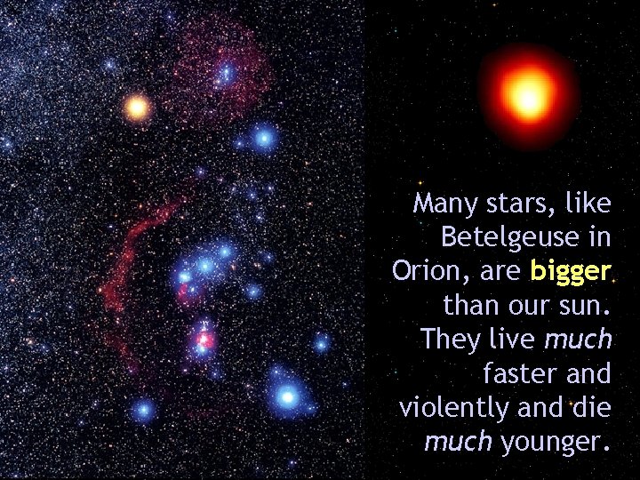 betelgeuse Many stars, like Betelgeuse in Orion, are bigger than our sun. They live