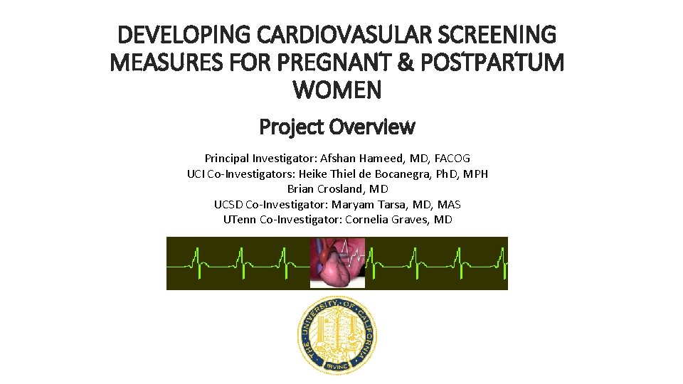 DEVELOPING CARDIOVASULAR SCREENING MEASURES FOR PREGNANT & POSTPARTUM WOMEN Project Overview Principal Investigator: Afshan