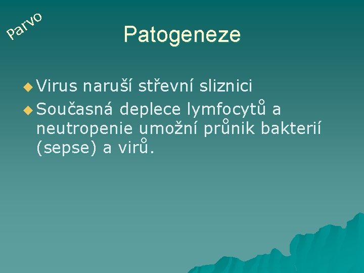 o v ar P u Virus Patogeneze naruší střevní sliznici u Současná deplece lymfocytů