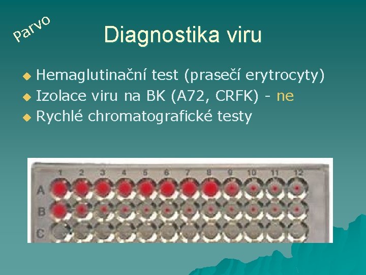 o v r Pa Diagnostika viru Hemaglutinační test (prasečí erytrocyty) u Izolace viru na