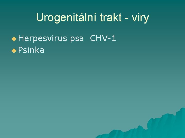 Urogenitální trakt - viry u Herpesvirus u Psinka psa CHV-1 